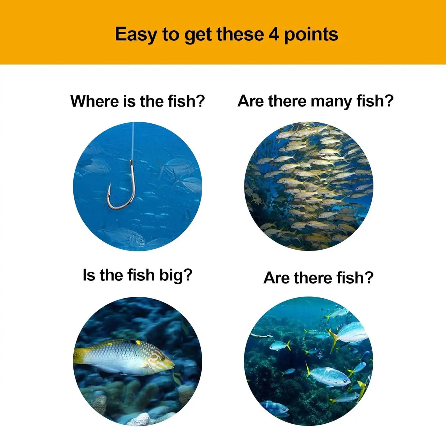 Portable Fish Finder with Sonar Transducer