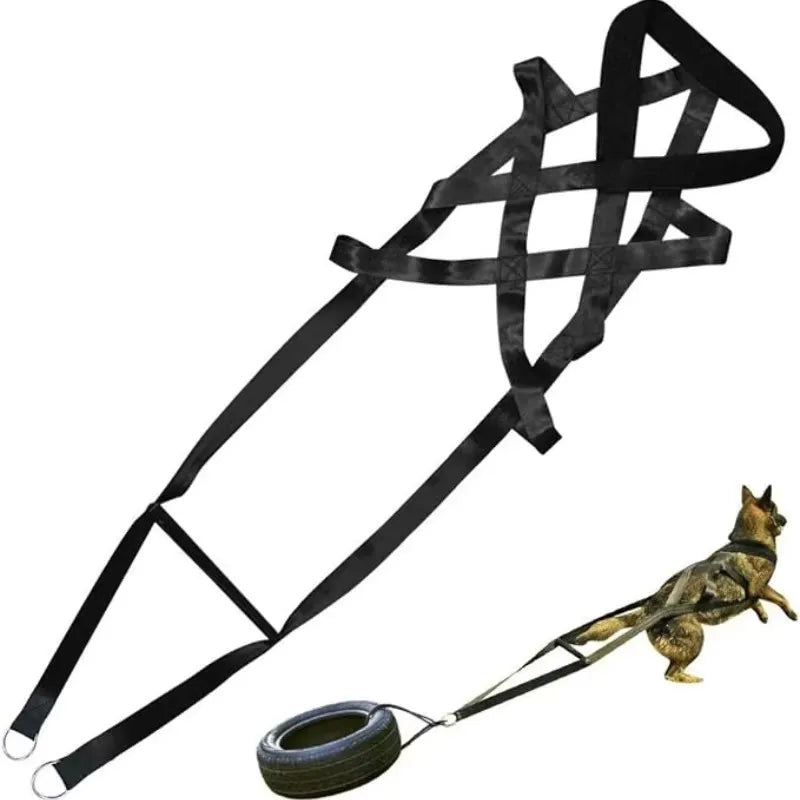 Dog Pull Training Leash Sled Safety Belt for Dog Sled Enthusiasts