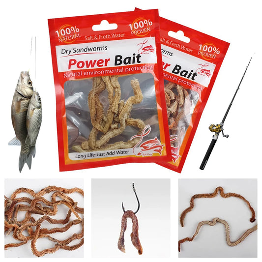 Dry Sandworms Lifelike Dry Lugworm Sandworms for Saltwater Freshwater Fishing